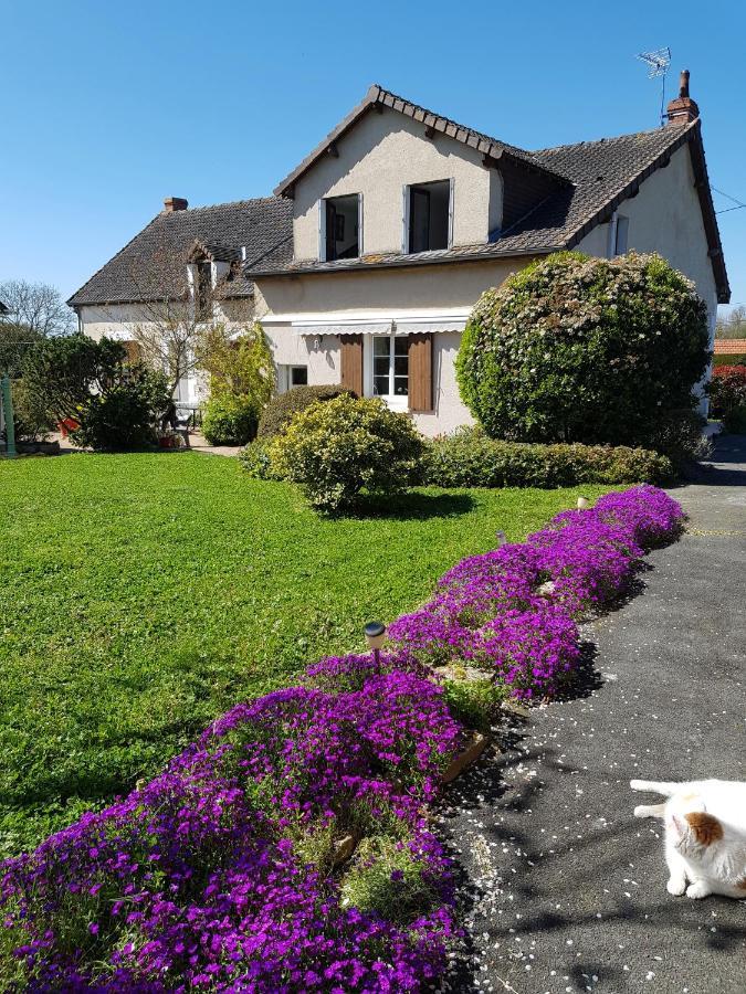 Chambres D'Hotes Anne-Marie Châtillon-sur-Indre Exterior photo